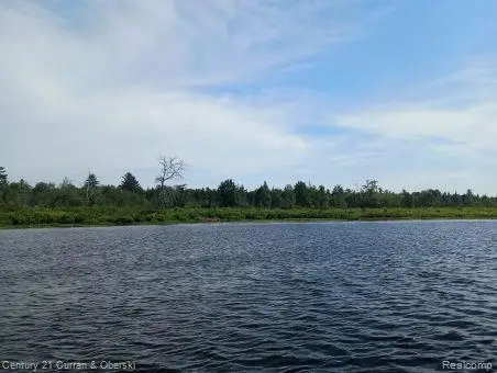 0000 Tahquamenon River (shore), McMillan, MI 49868 - #3