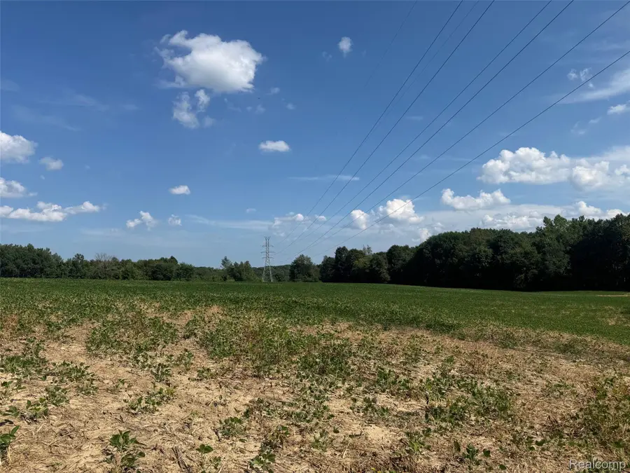 VL S Mill Road, Dryden, MI 48428 - #2