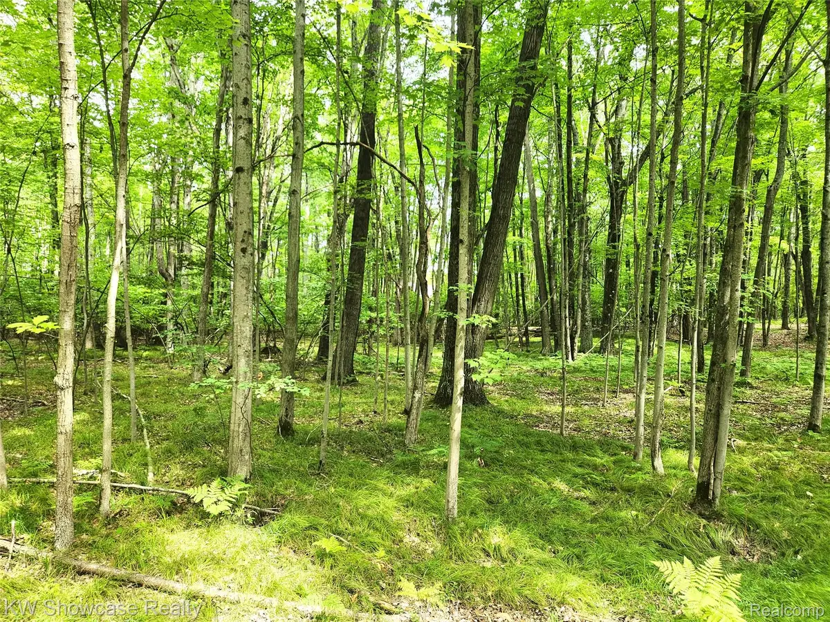 000 Red Fox Run, Lincoln, MI 48622 - #1