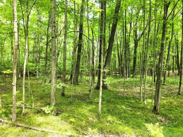 000 Red Fox Run, Lincoln, MI 48622