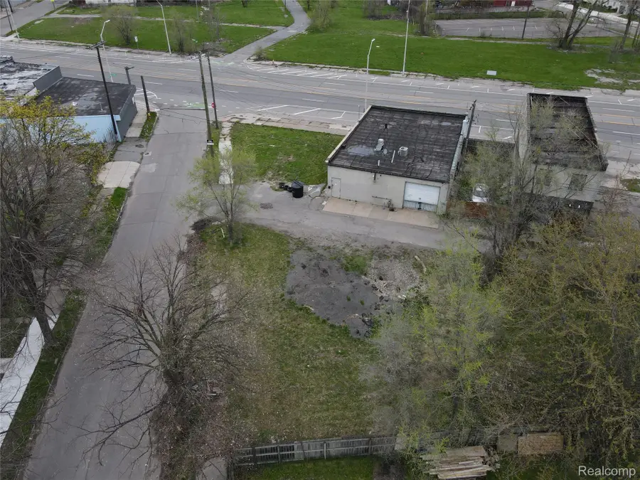3420 Goldner Street, Detroit, MI 48210 - #2