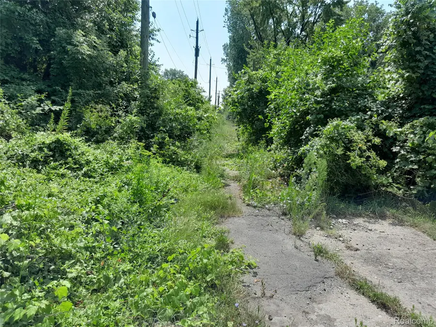 534 Bellevue Street, Detroit, MI 48207 - #3
