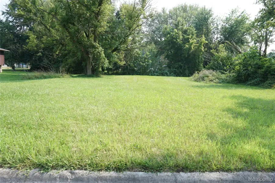 Vacant Penn Street, Inkster, MI 48141 - #2