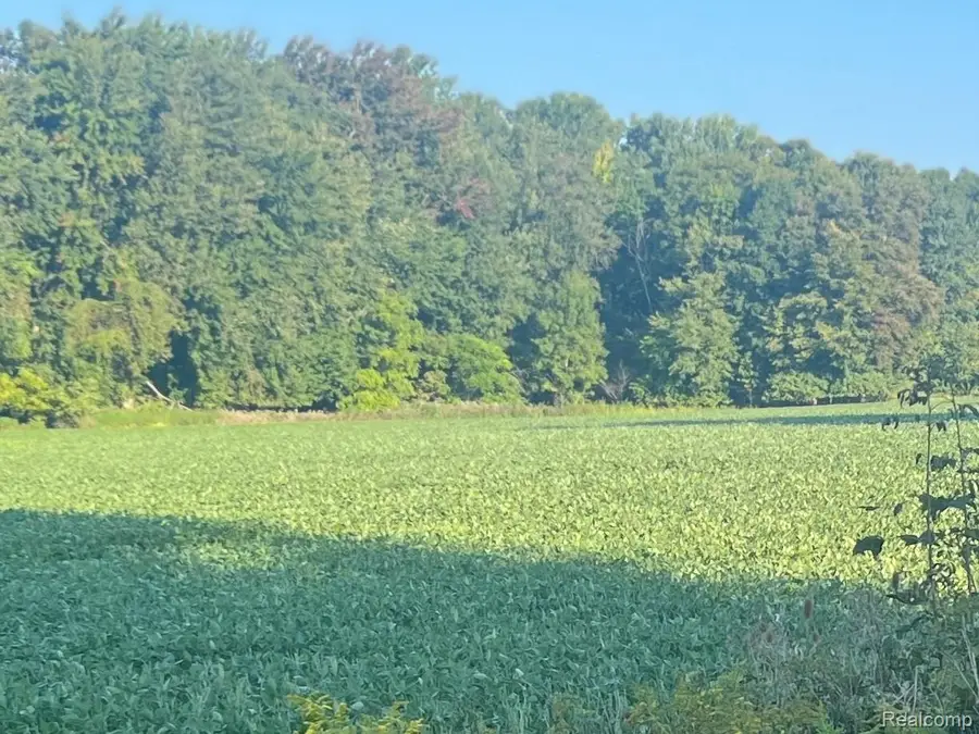 01 Howland Road, Almont, MI 48003 - #3