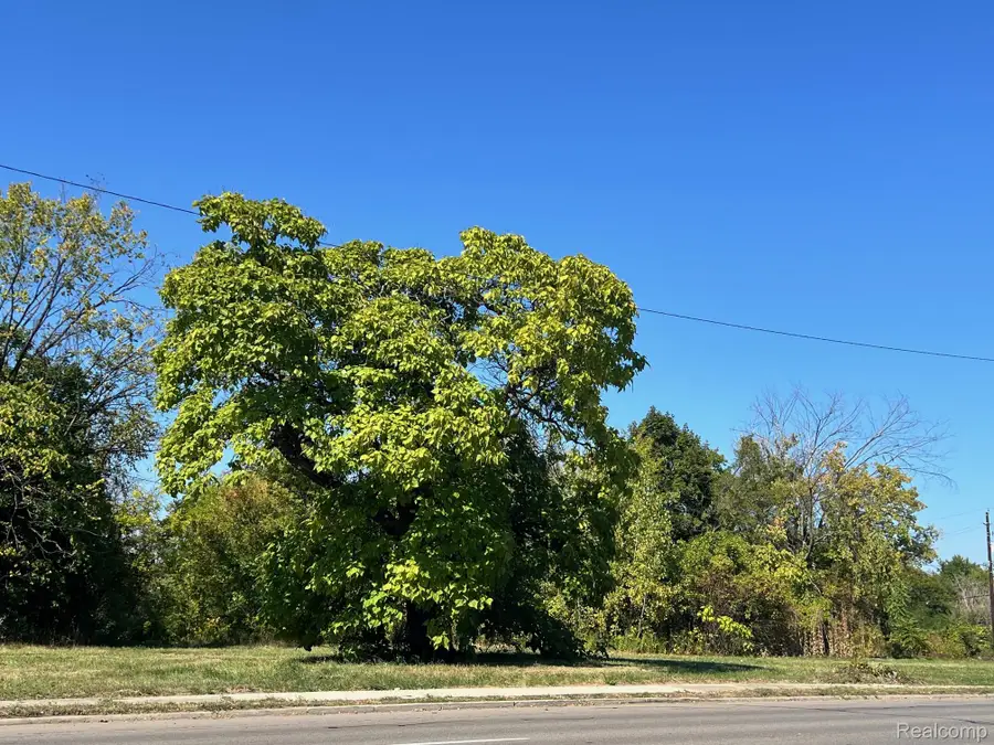 2937 E Vernor Highway, Detroit, MI 48207 - #3