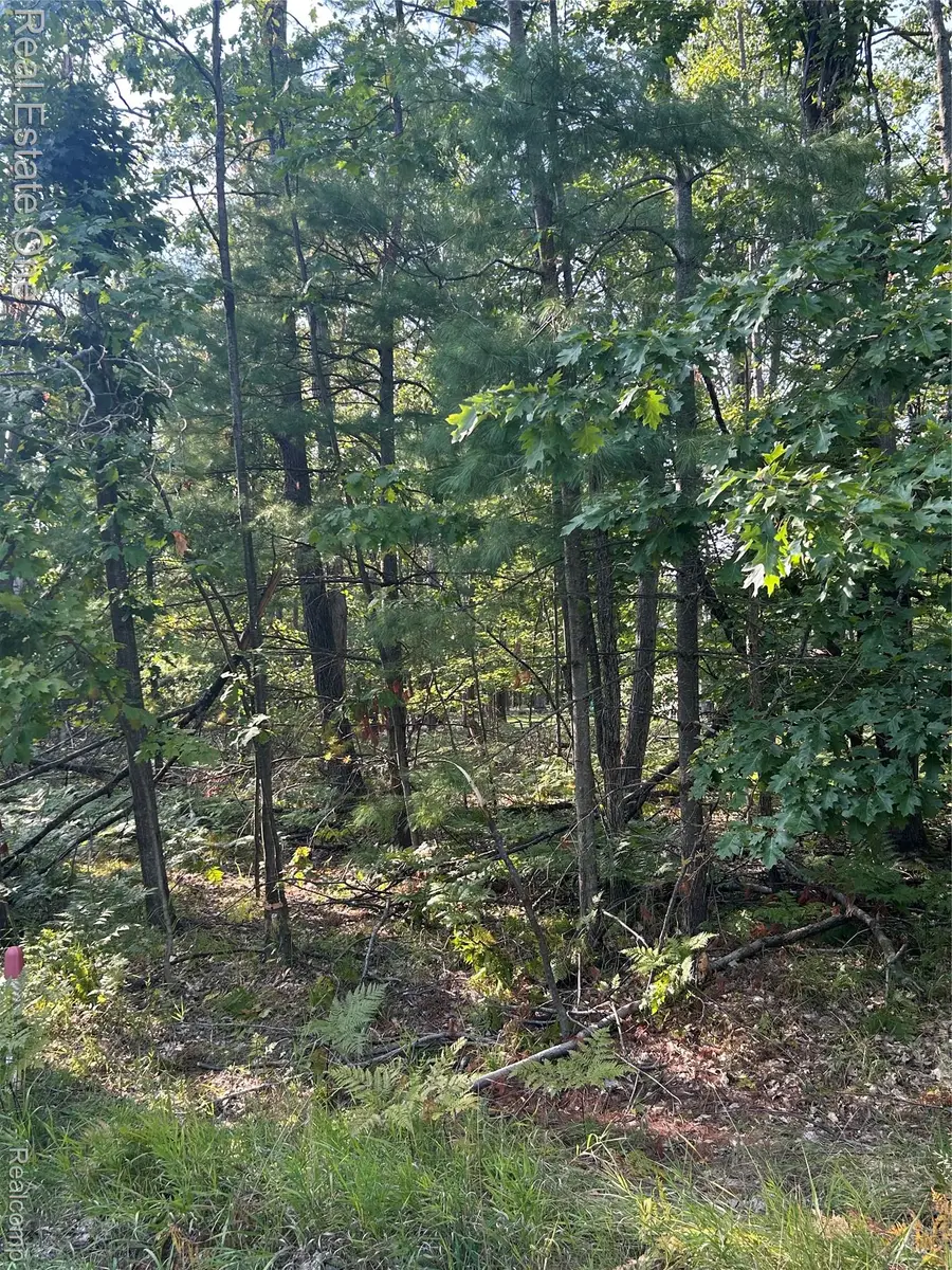 LOTS 1797 and 1798 Sandpiper Trail, Otsego Lake, MI 48735 - #3