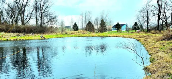 9860 Iosco Ridge Drive, Gregory, MI 48137