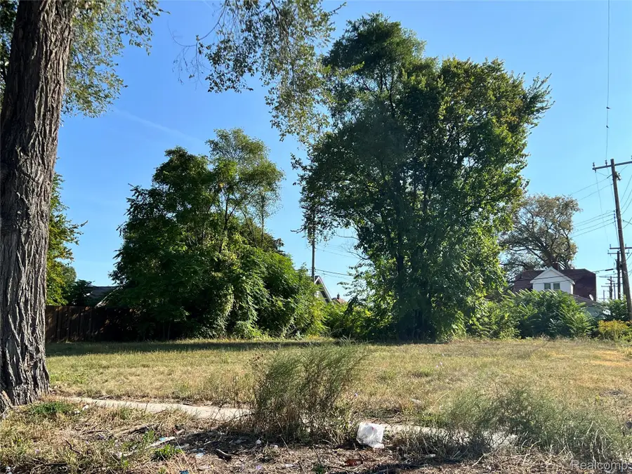 12834 Dwyer Street, Detroit, MI 48212 - #2