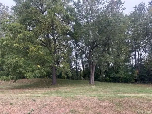 Lot C Chapin Street, GrandBlanc, MI 48507