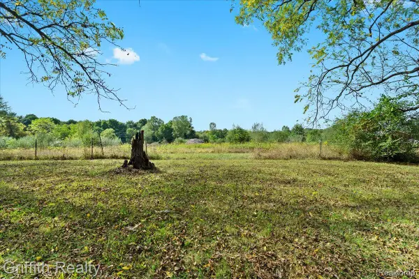 9800 Beeman Road, Chelsea, MI 48118