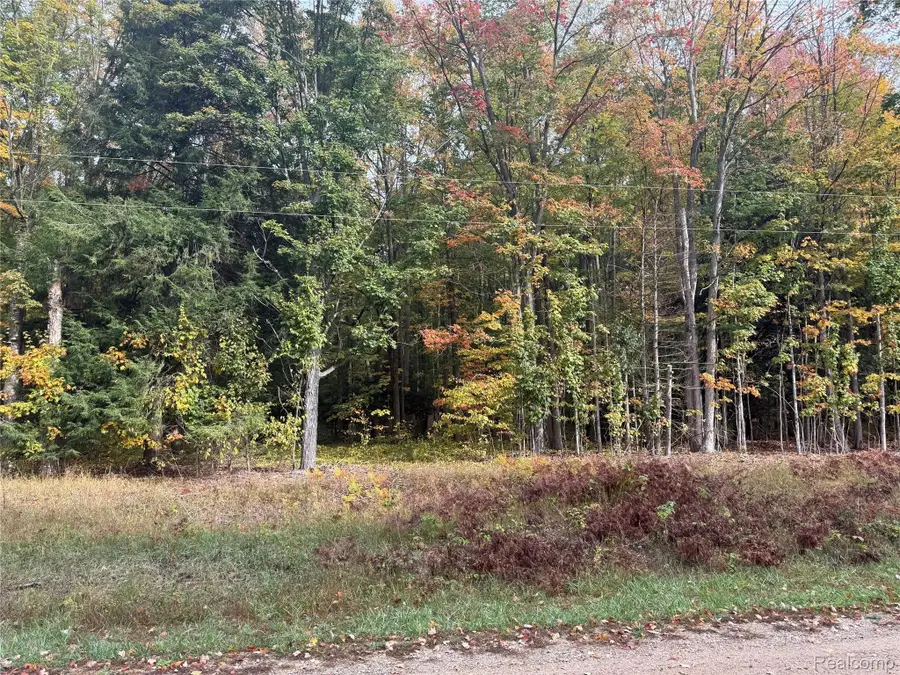 207 Wallace Road Ne, Helena, MI 49612 - #2
