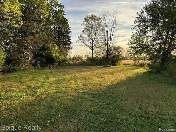 1353 E Lloyd Road, Dundee, MI 48131