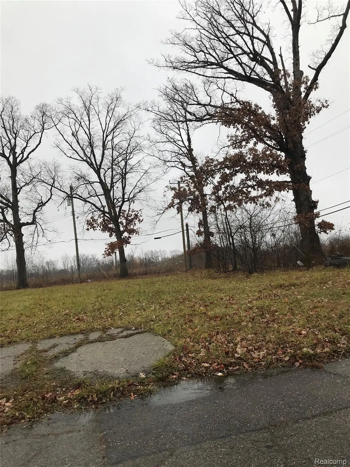 19446 Troy Pl Place, Detroit, MI 48203 - #1