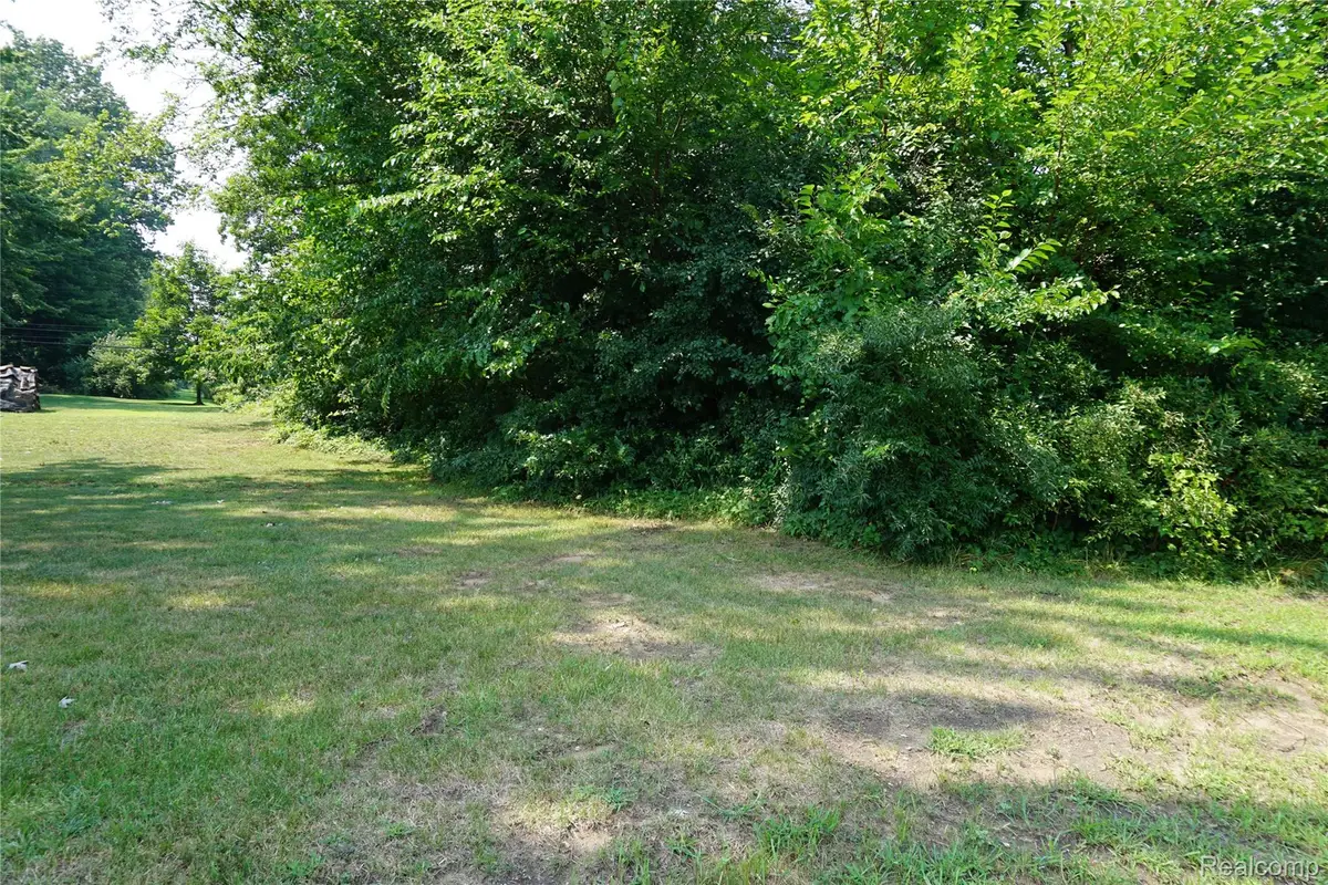 Vacant Wayne Road, Romulus, MI 48174 - #1