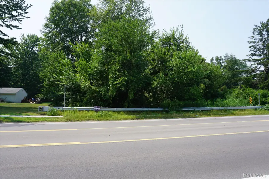 Vacant Wayne Road, Romulus, MI 48174 - #3