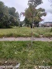 2208 Hibbard Street, Detroit, MI 48214 - #2