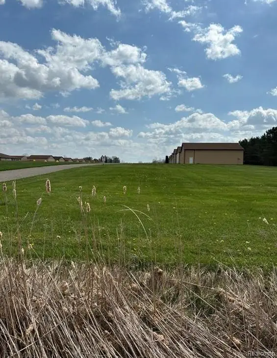 3844 Ann Drive, Mount Morris, MI 48433 - #1