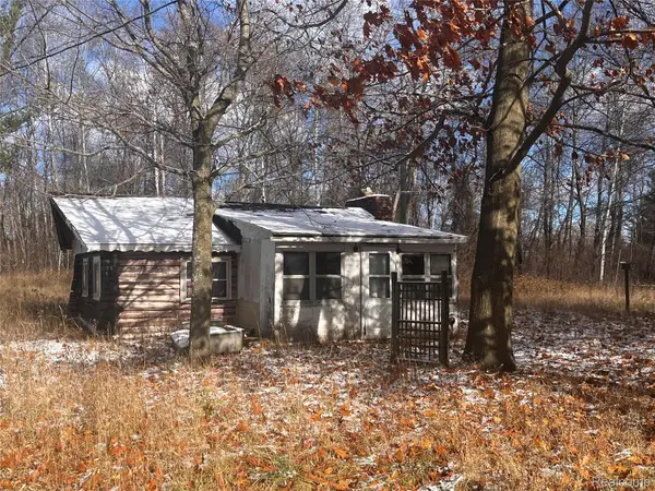 2132 Birch Drive, Sears, MI 49679