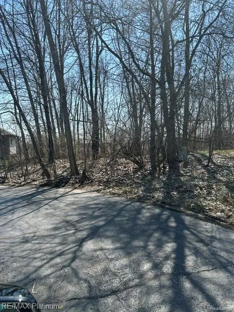 13480 Bryson Court, Fenton, MI 48430 - #2