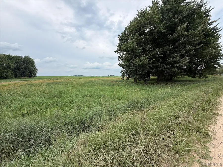 4126 Montgomery, Marlette, MI 48453 - #3
