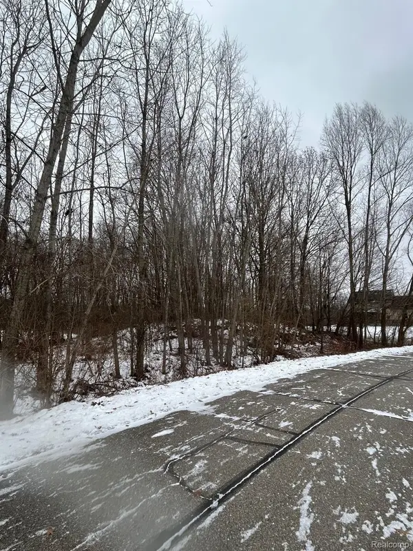 00 Brandi Lane, Fowlerville, MI 48836