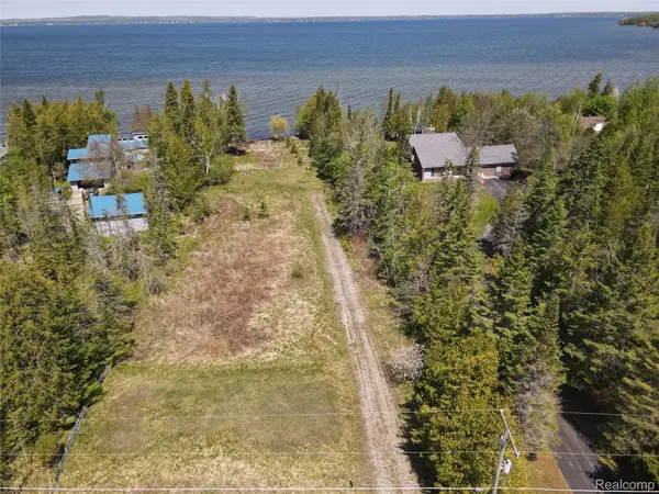 1197 Needle Point Drive, Cheboygan, MI 49721