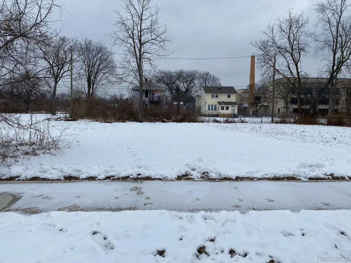 398 Louise Street, Highland Park, MI 48203 - #1