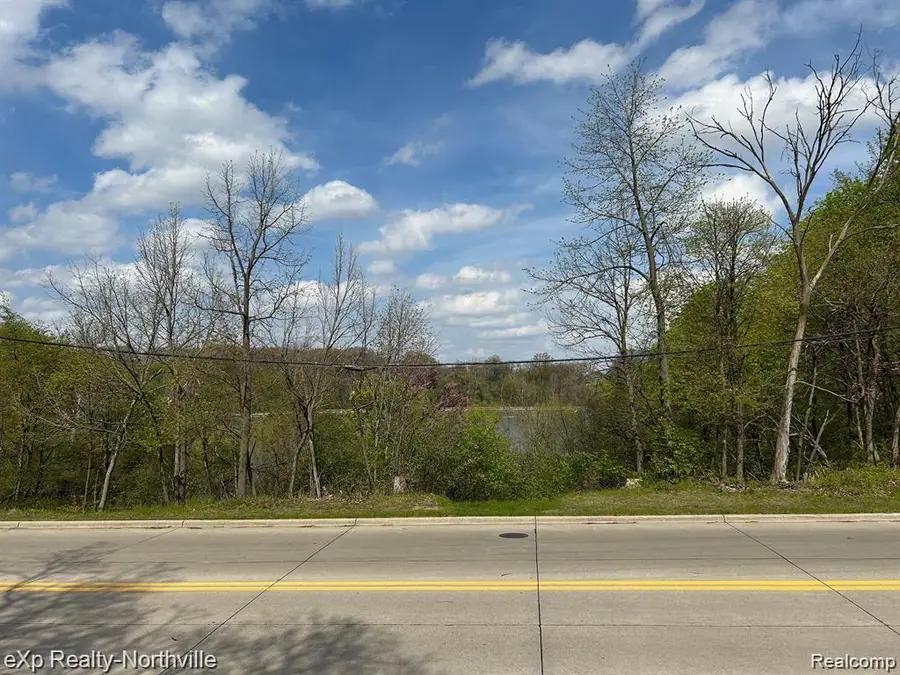 1103 N Mill Street, Plymouth, MI 48170 - #3