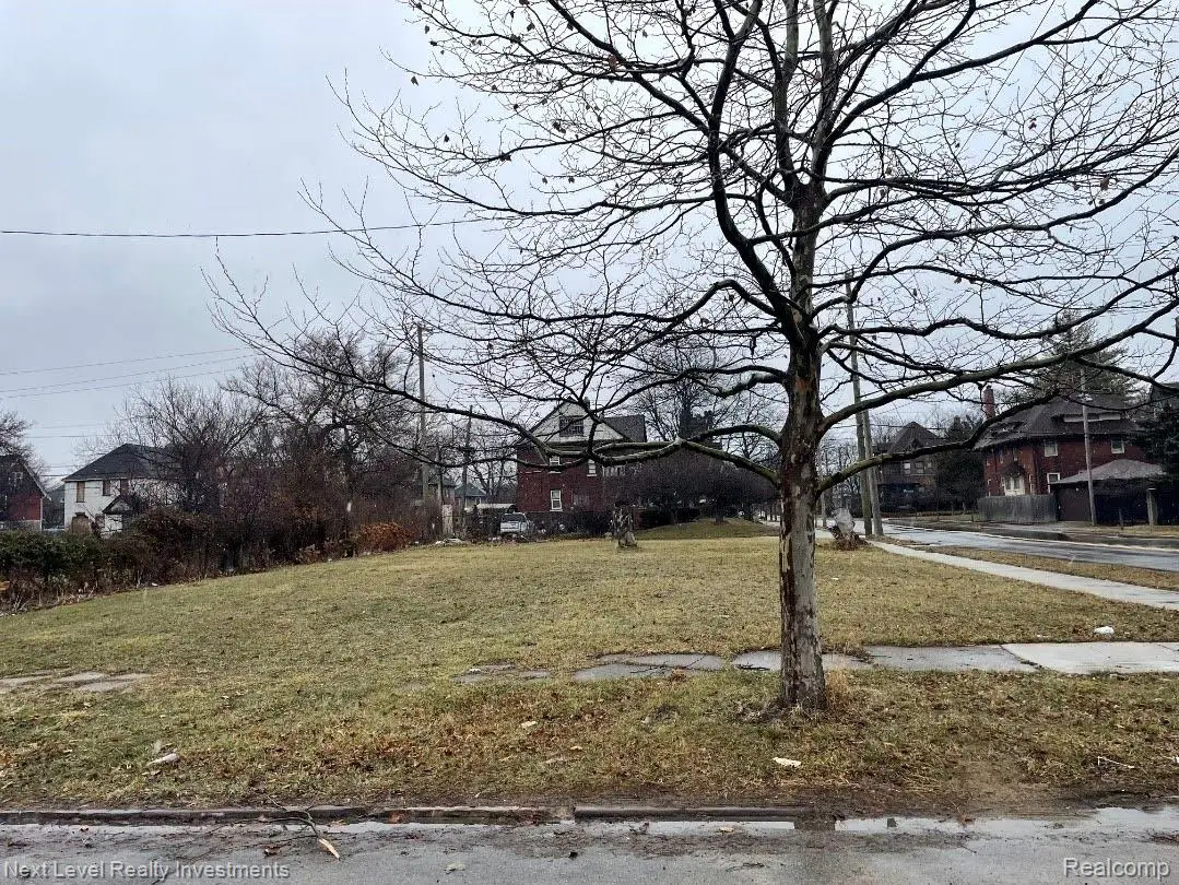 1000 Baldwin Street, Detroit, MI 48214 - #1