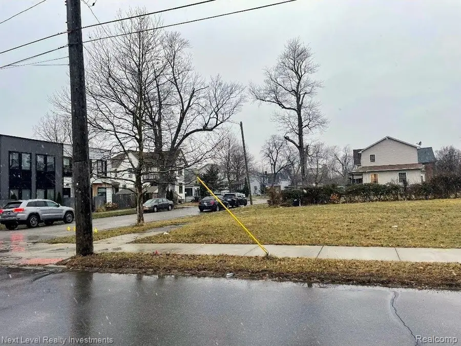 1000 Baldwin Street, Detroit, MI 48214 - #3