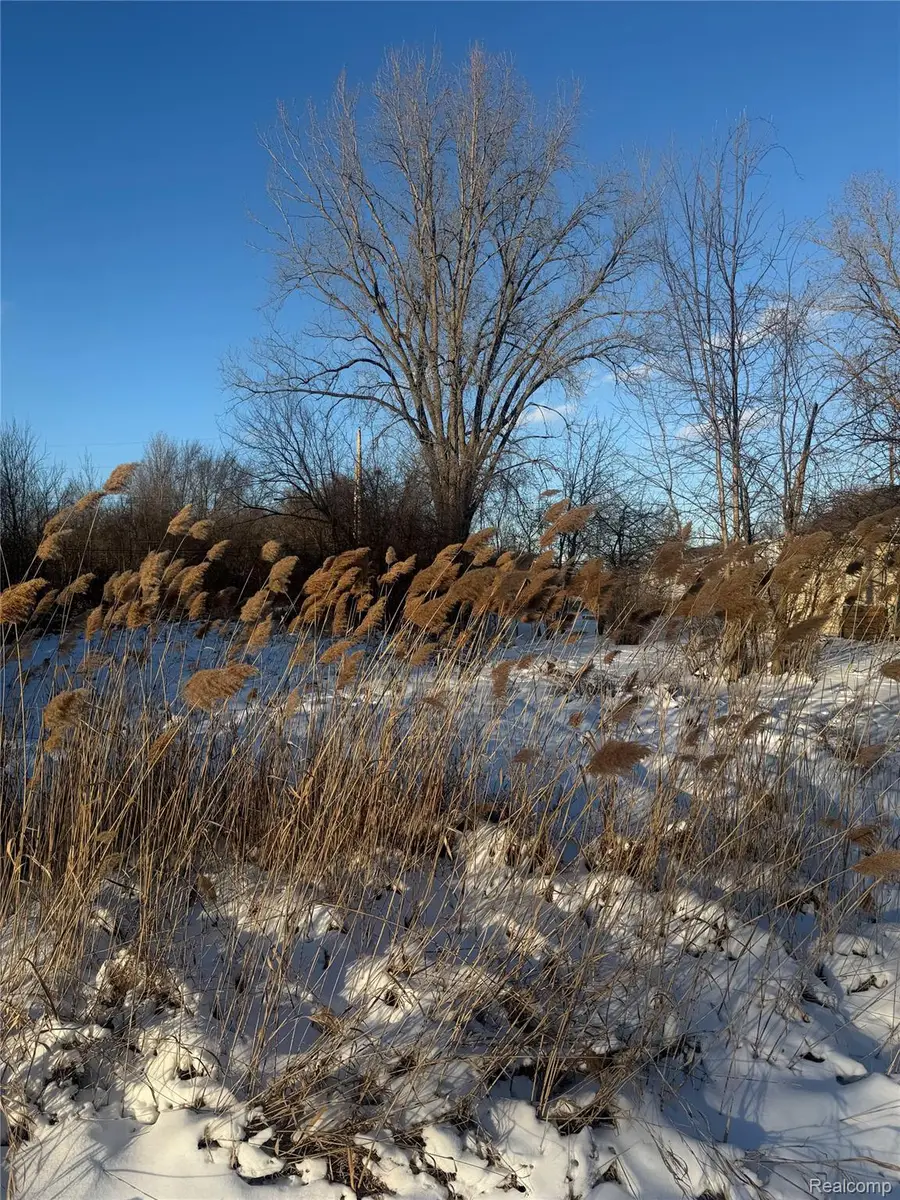Sublot 41 Charles, Grosse Pointe, MI 48035 - #2