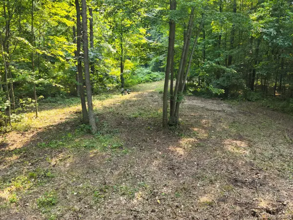 V/L Frushour Drive, Holly, MI 48442
