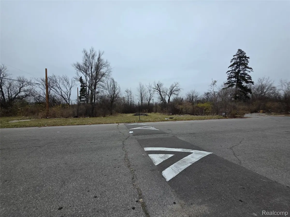 19628 Danbury Street, Detroit, MI 48203 - #1