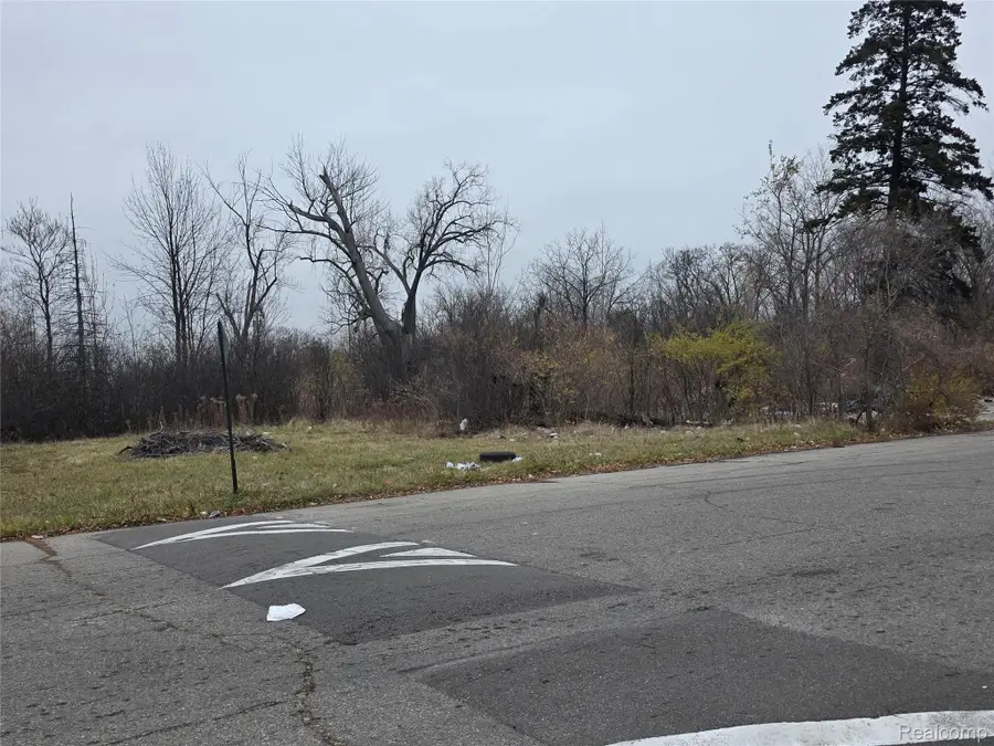 19628 Danbury Street, Detroit, MI 48203 - #3