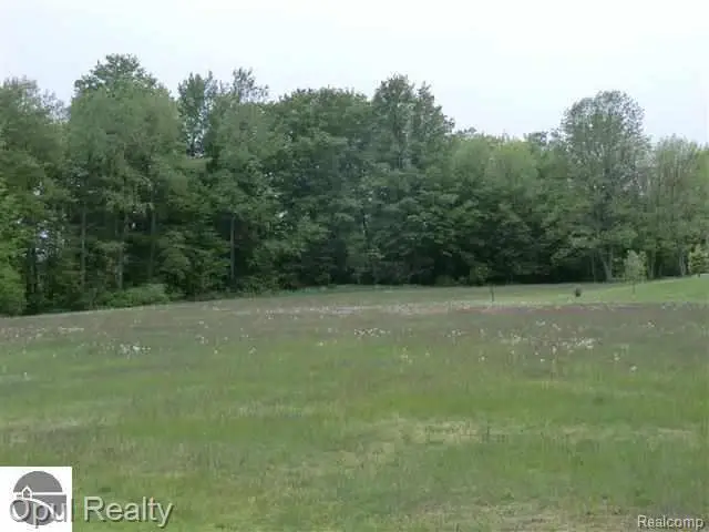 Lot 29 Third Street, Arcadia, MI 49613 - #3
