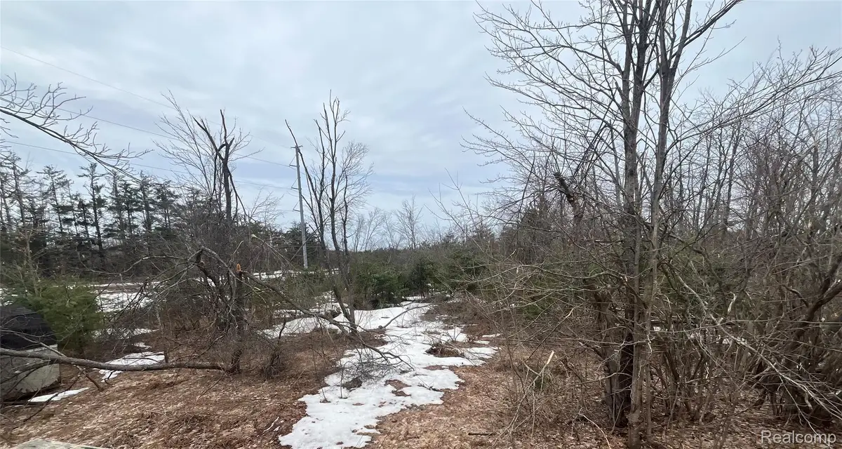 Lot 41 Altorf Strasse, Gaylord, MI 49735 - #1