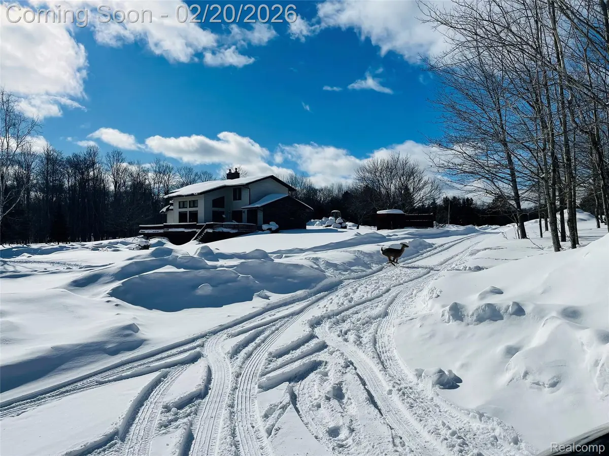 21805 S Wilwin Road, Trout Lake, MI 49793 - #1