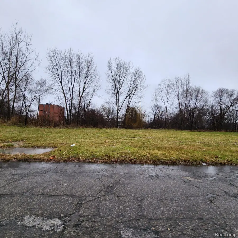 2661 Hendricks Street, Detroit, MI 48207 - #3