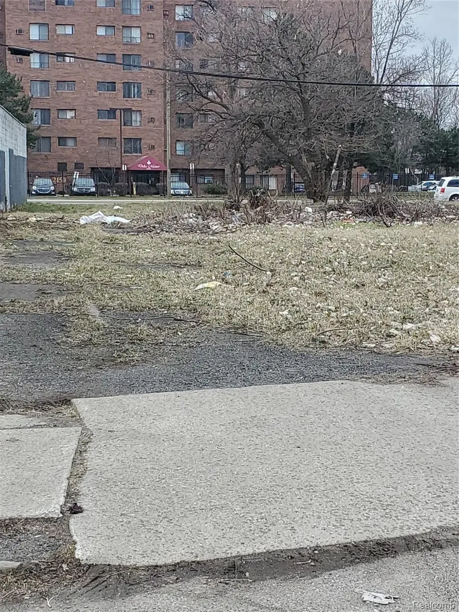 2527 Dubois, Detroit, MI 48207 - #2
