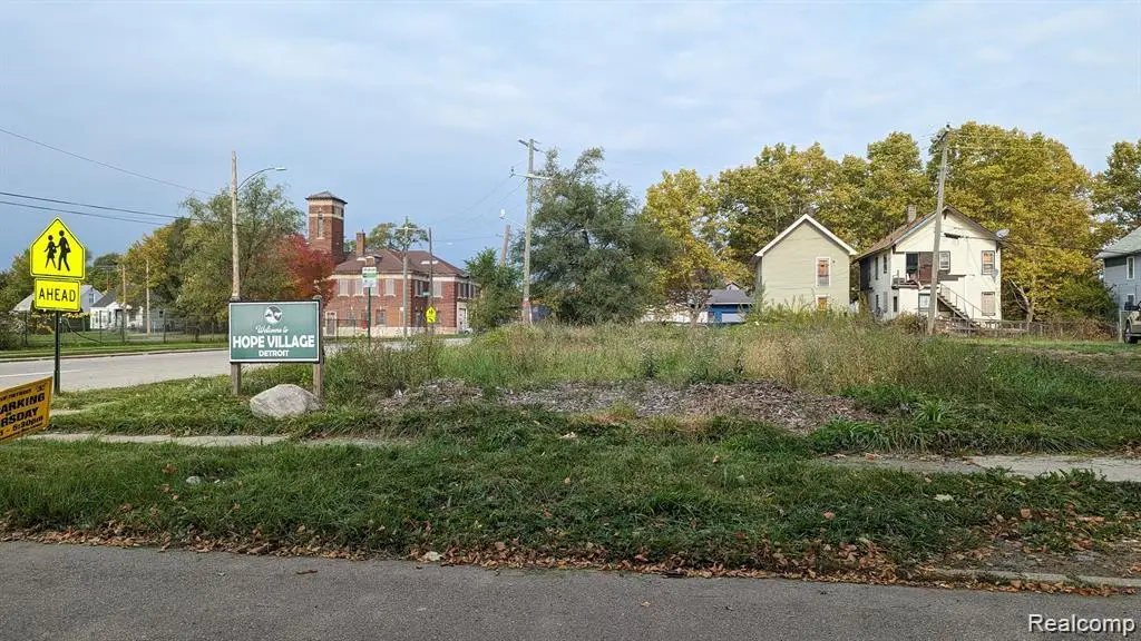 1720 Ford Street, Detroit, MI 48238 - #1