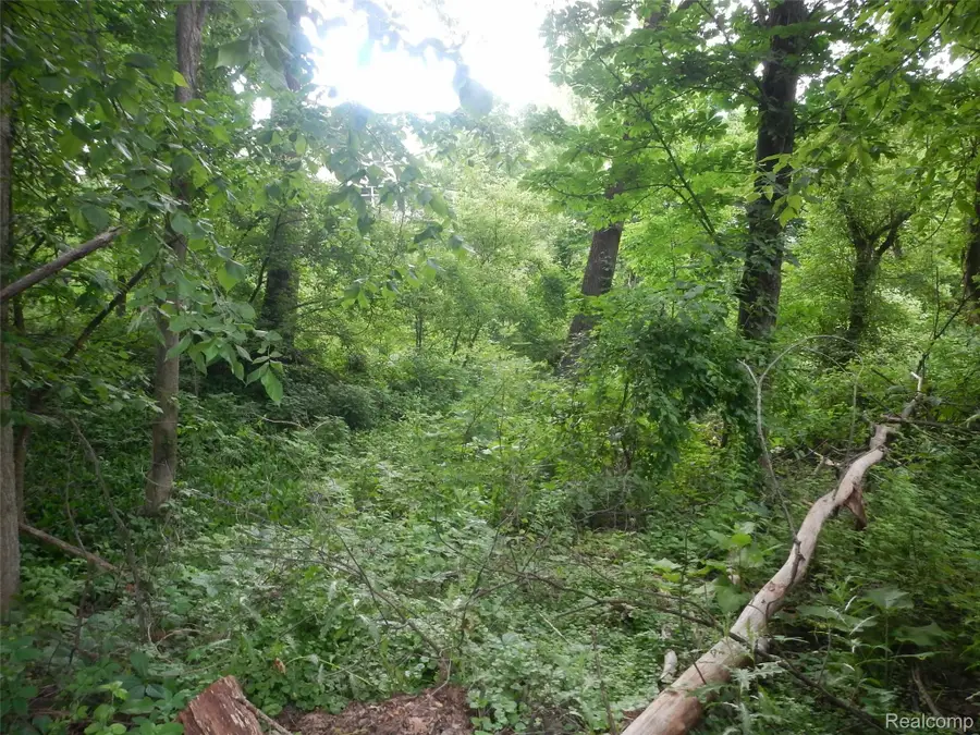 000 Johnson Drive | Lot 3, Lake Orion, MI 48362 - #2