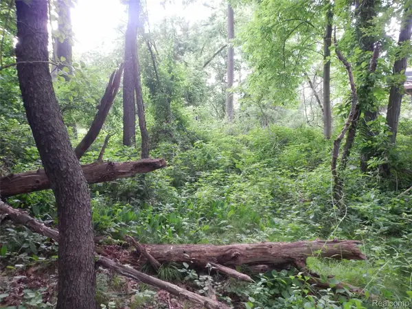 0000 Johnson Drive | Lot 4, LakeOrion, MI 48362