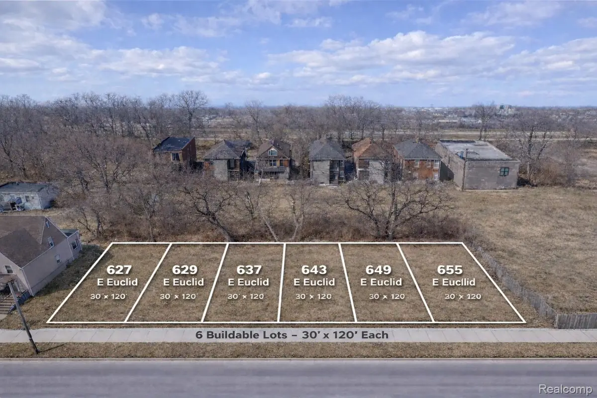 655 E Euclid Street, Detroit, MI 48202 - #1