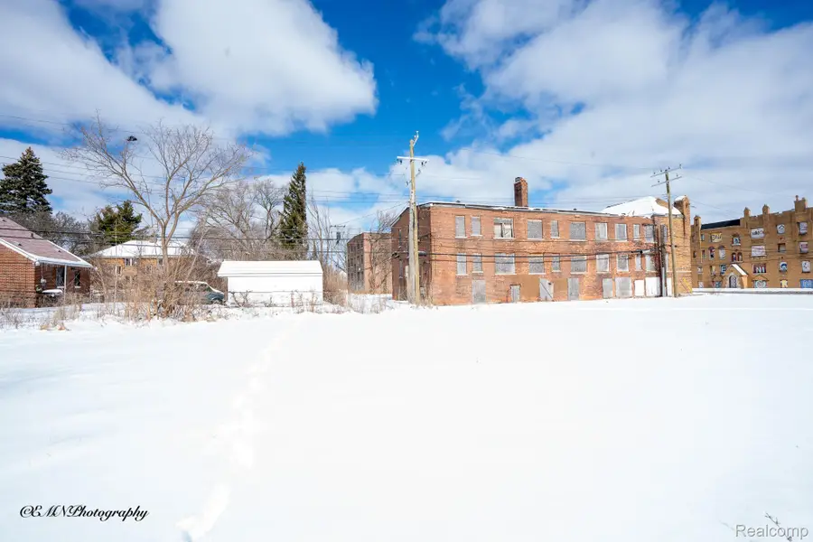13505 Greiner Street, Detroit, MI 48205 - #2