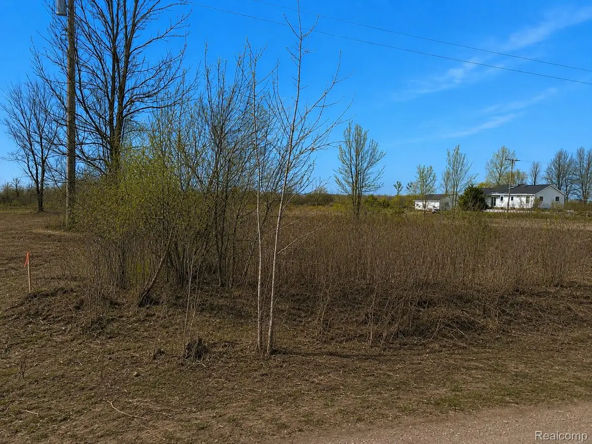 2969 Reeves Road, Riley, MI 48041 - #1