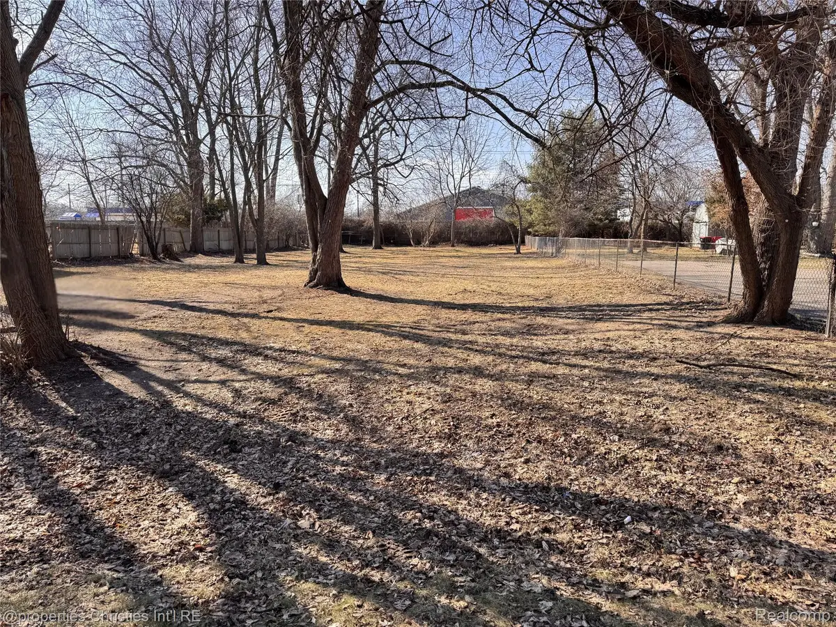 23183 Bush Street, Southfield, MI 48033 - #1