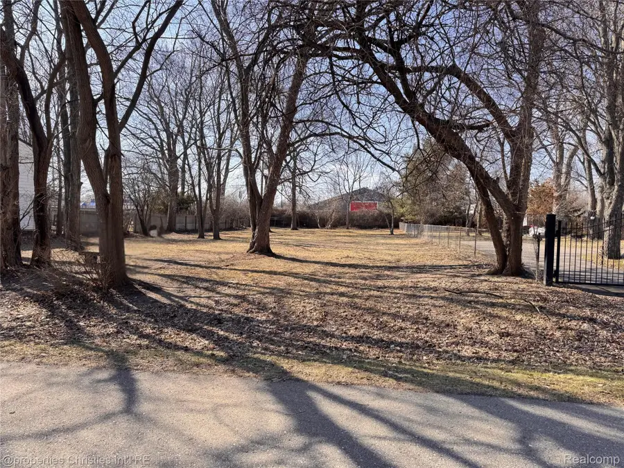 23183 Bush Street, Southfield, MI 48033 - #2