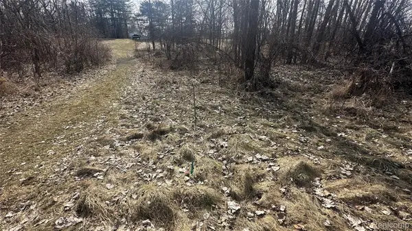 0 Jordan Lake Avenue, LakeOdessa, MI 48849