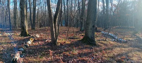 1782 Hemlock Lane, Farwell, MI 48622