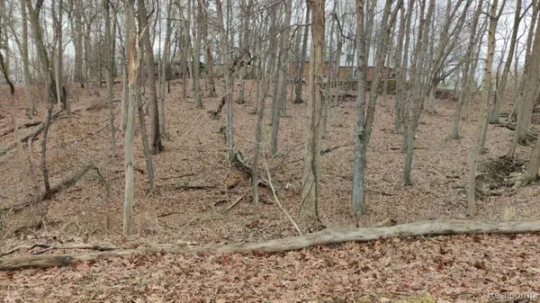Lot 149 Breer Court, BloomfieldHills, MI 48302